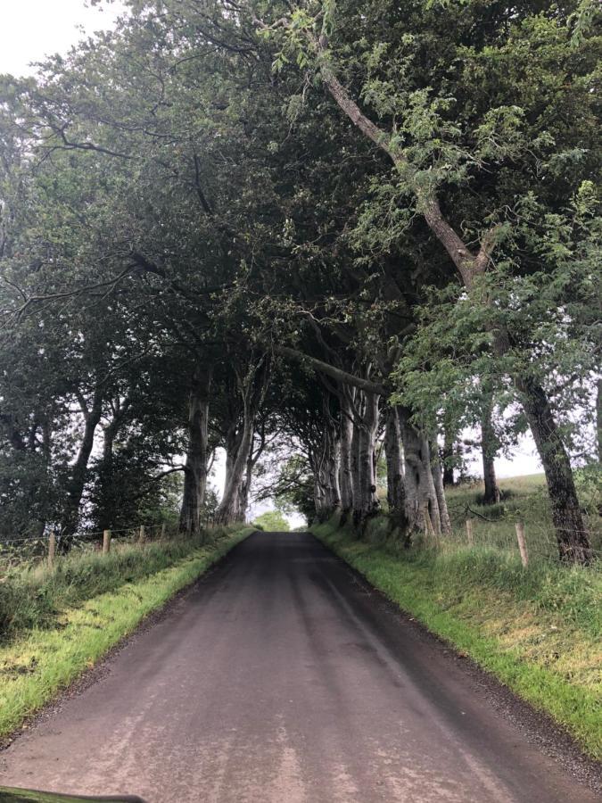 Den @ The Dark Hedges Apartment Stranocum Exterior photo